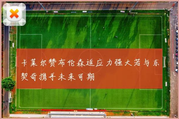 卡莱尔赞布伦森适应力强大若与东契奇携手未来可期